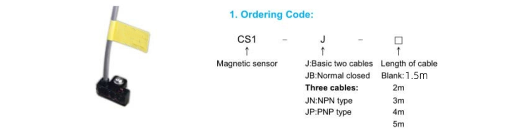 CS1- J Magnetic Switch