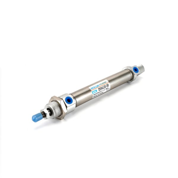 ISO6432 Standard Dsnu Series Cylinder Dsnu25-100-Ppv-a Double Acting Pneumatic Air Cylinder