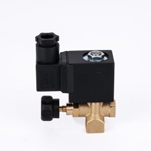 Steam Generator Iron Boiler Solenoid Valve