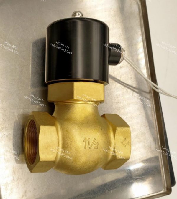 2L 2 Way Steam Solenoid Valve